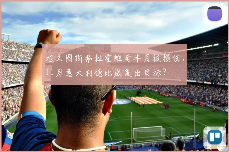 尤文图斯弗拉霍维奇半月板损伤，11月意大利德比成复出目标？