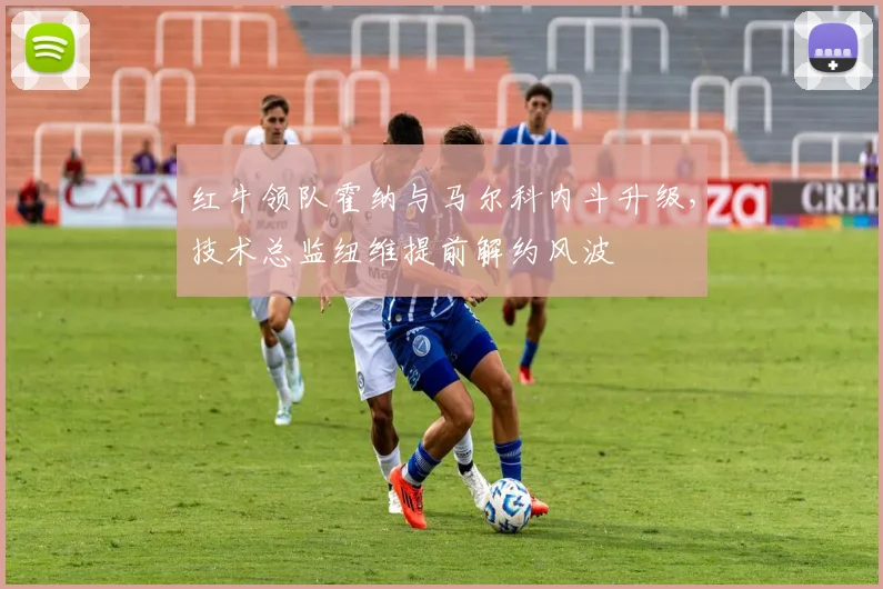 红牛领队霍纳与马尔科内斗升级，技术总监纽维提前解约风波